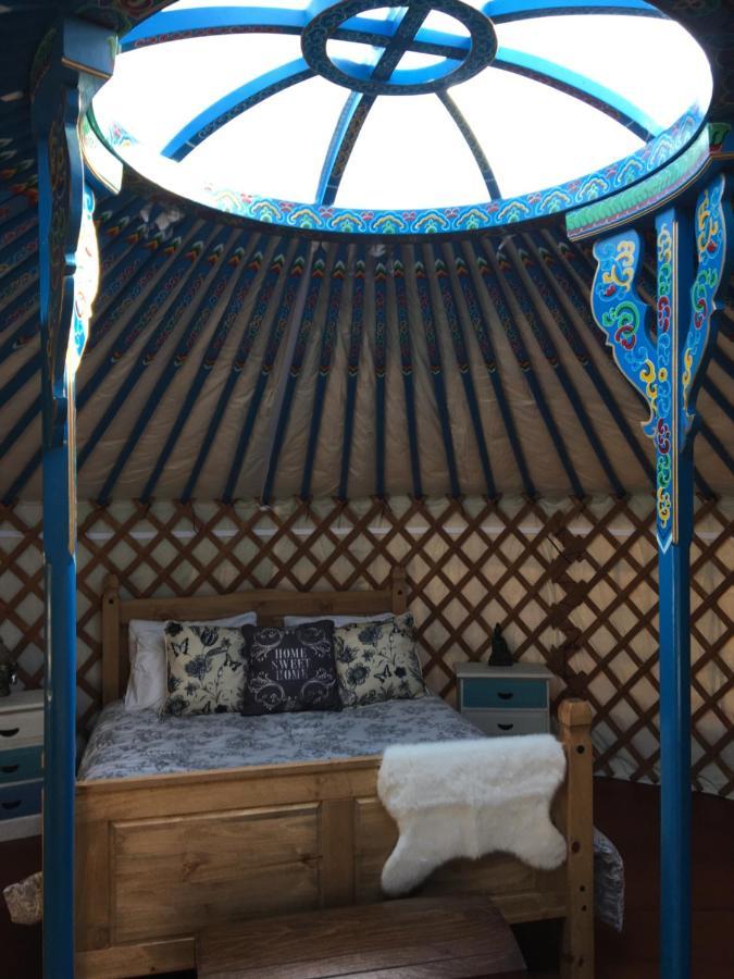 Hotel French Fields Luxury Glamping Original Mongolian Yurt Le-Vieux-Cerier Zewnętrze zdjęcie